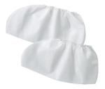 ��ʪ