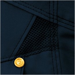 両胸メッシュ