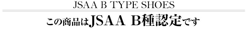 この商品はJSAA B種認定です